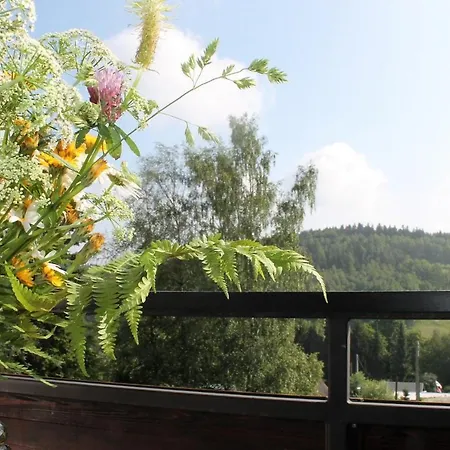 Ξενοδοχείο Carolaruh *