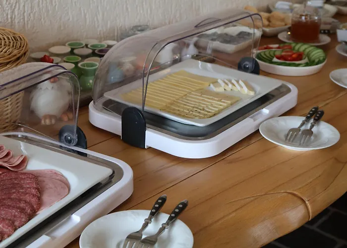 Hotel Carolaruh Bad Elster